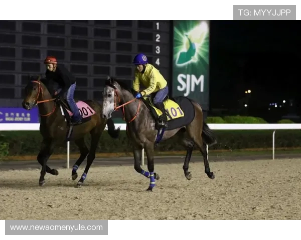 澳门赛马今天直播赛事直播流程详解与赛马精彩片段