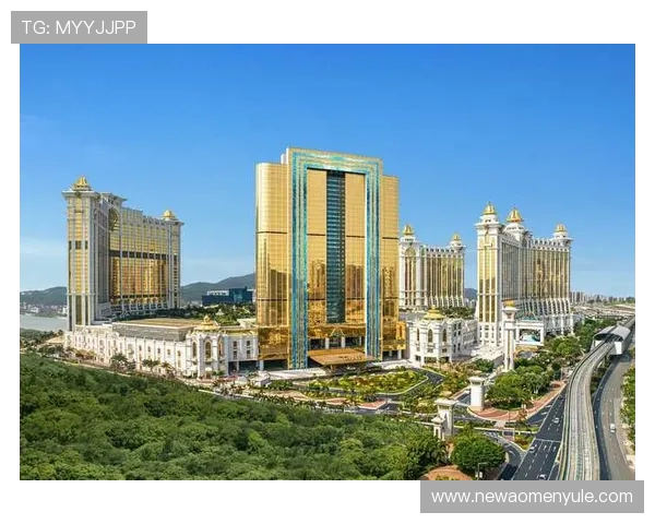 澳门银河下载过程中常见问题及解决方案，确保玩家顺利体验丰富的游戏内容